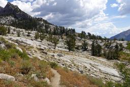 The slabs [sat aug 23 10:55:18 mdt 2025]